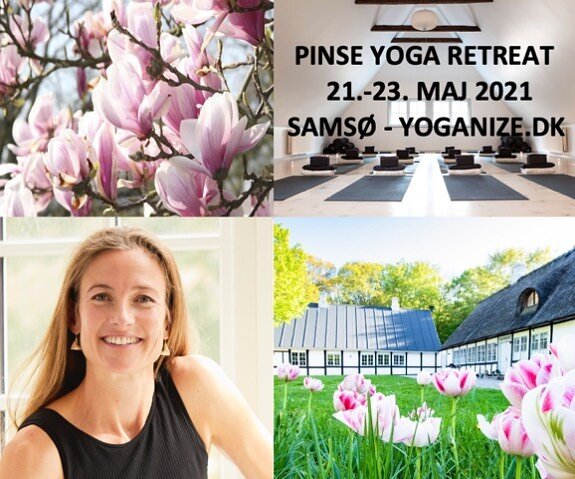 Pinse yoga Retreat p&aring; Sams&oslash;🌿
Fredag d.21. Maj til s&oslash;ndag d. 23. Maj. 2021.
L&aelig;s lidt mere her: yoganize.dk
#sams&oslash;retreat #helleyoganize