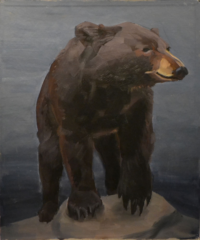 Bear Study