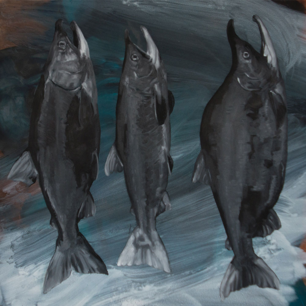 Three Salmon