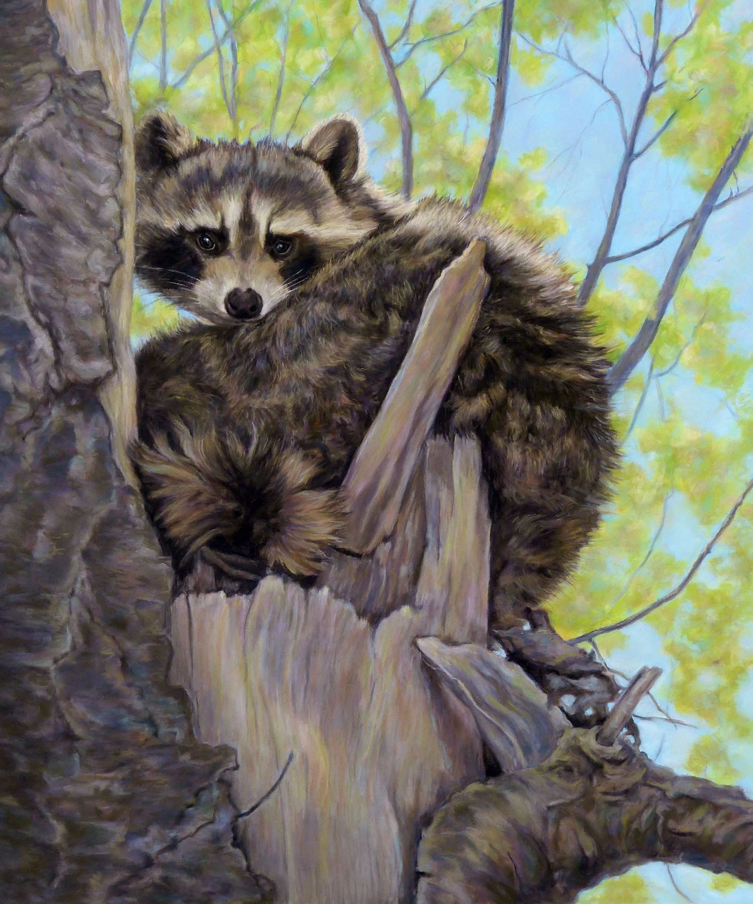 Up a Tree