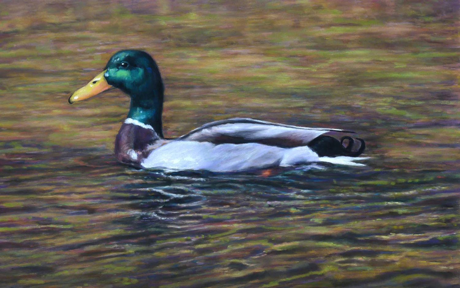 Mallard