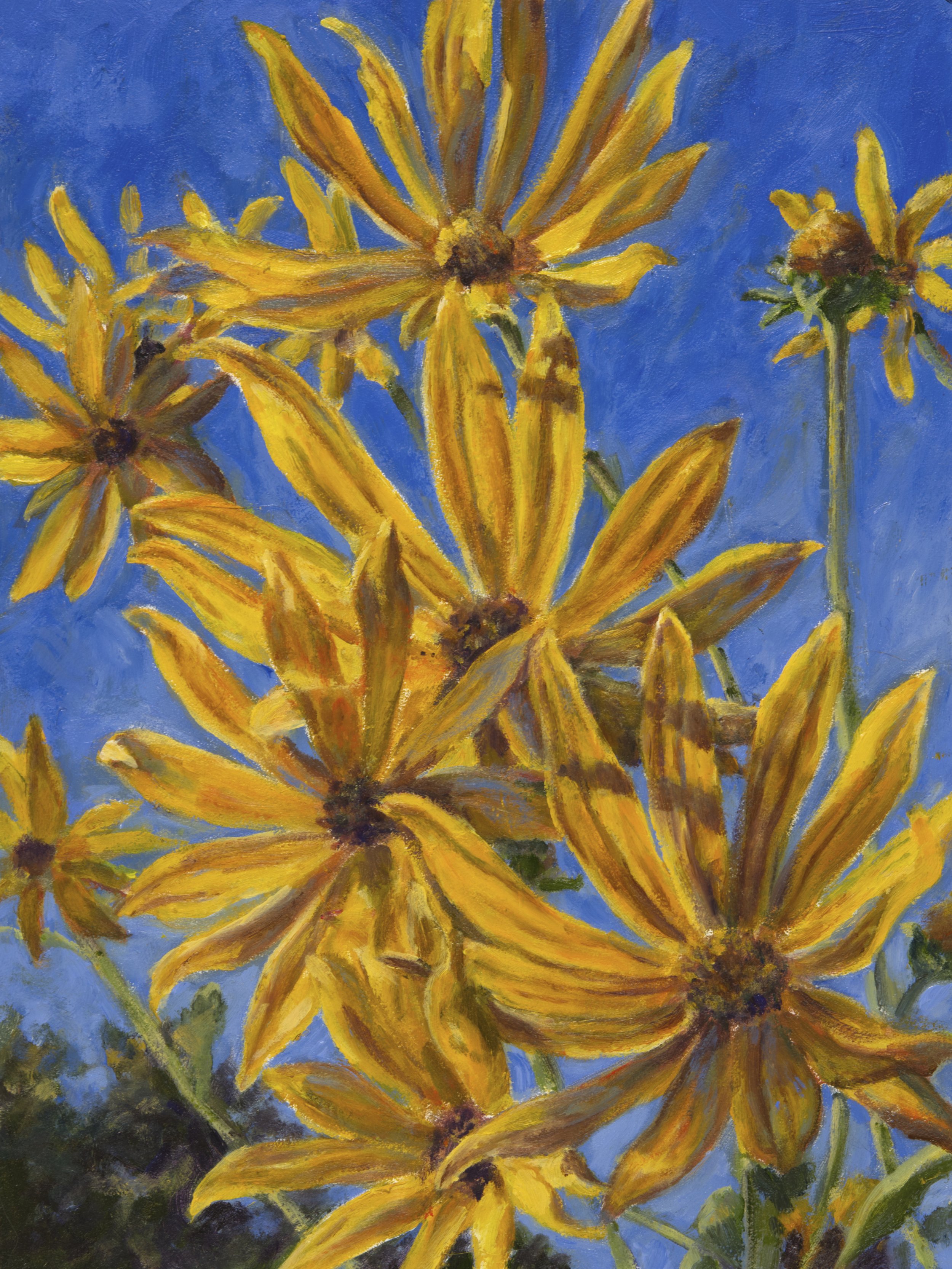 Jerusalem Artichokes