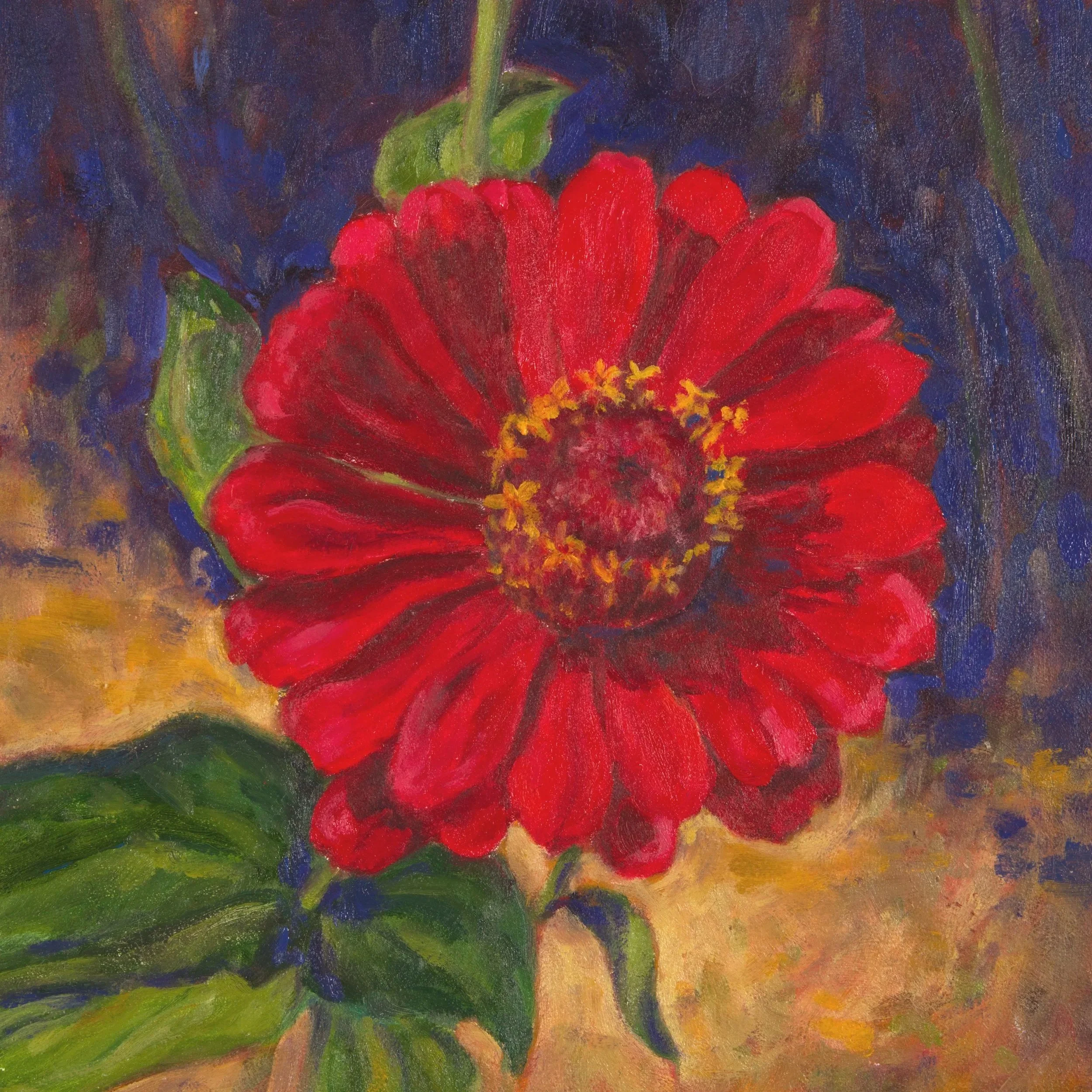 Red Zinnia