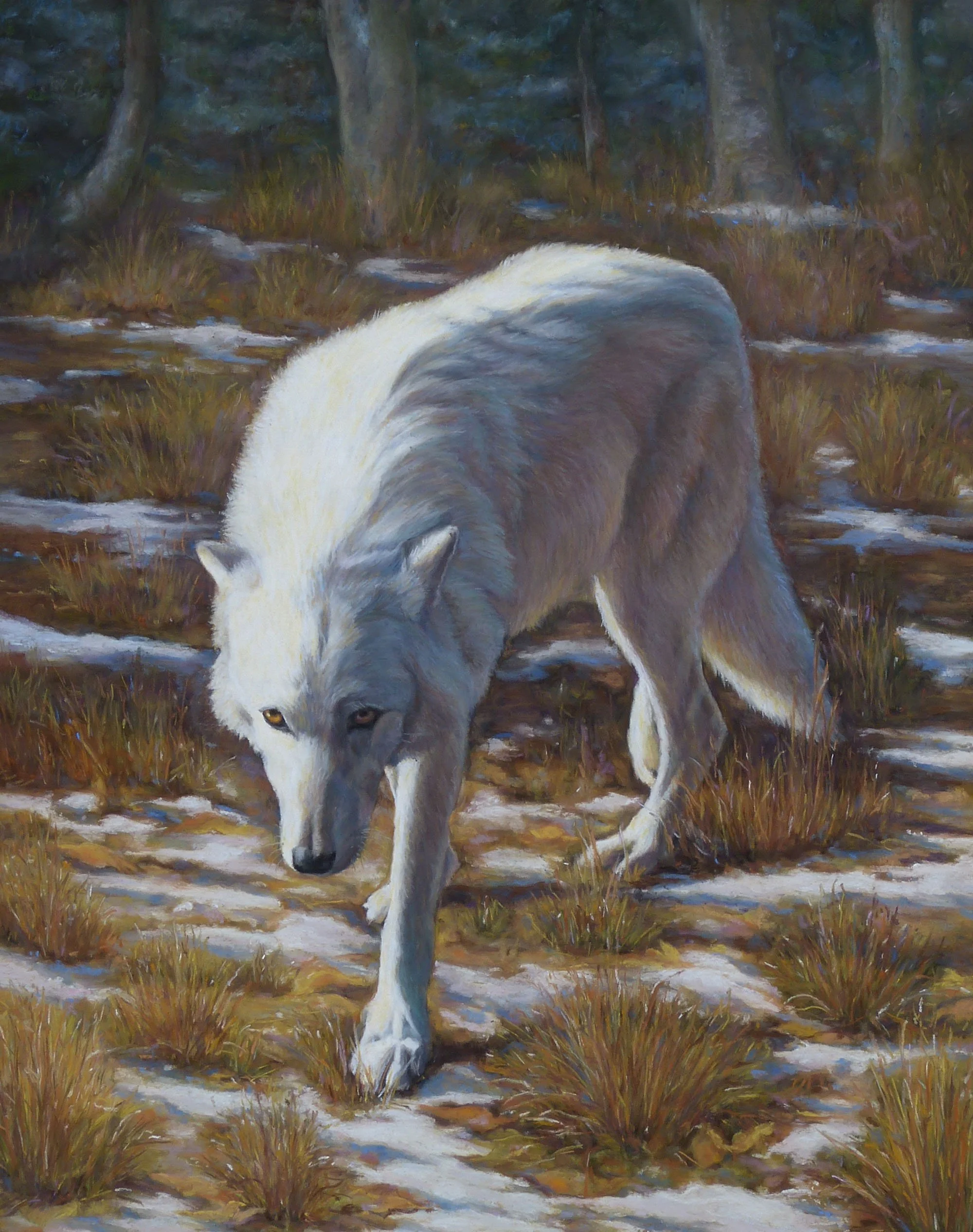 white-wolf.jpg
