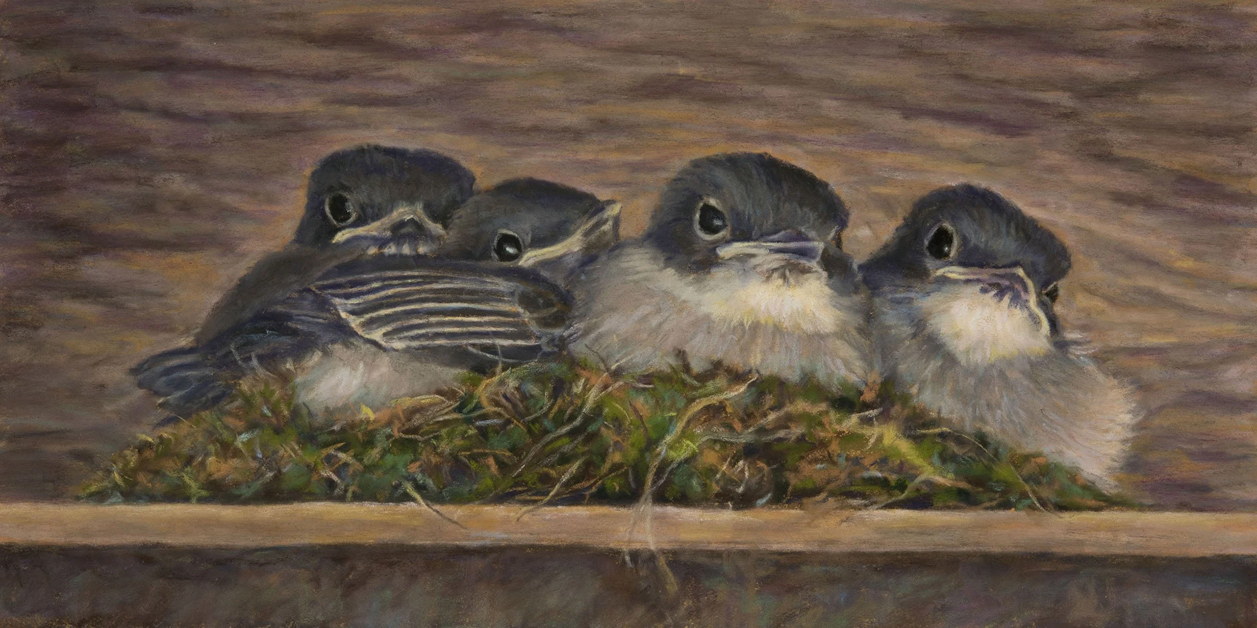 baby-phoebes.jpg