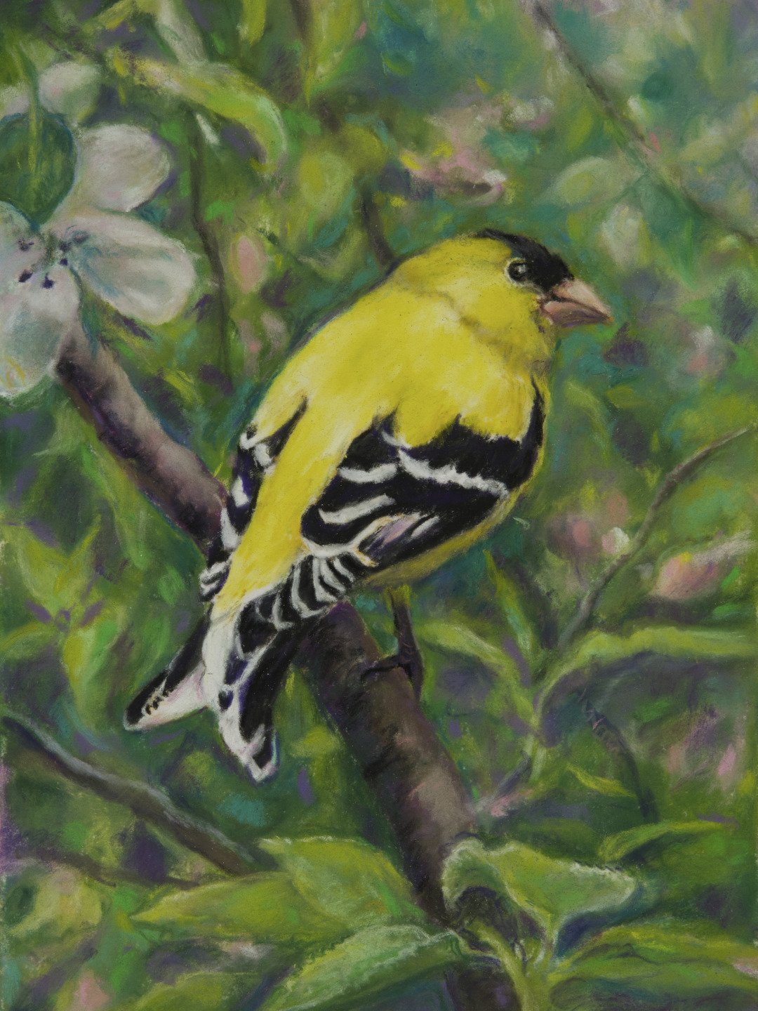 Spring