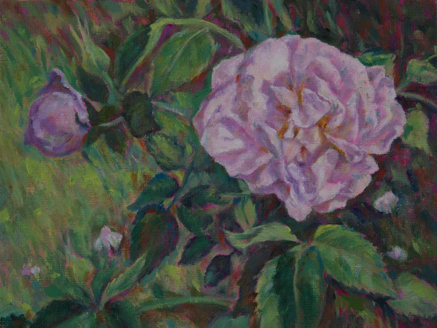 June rose