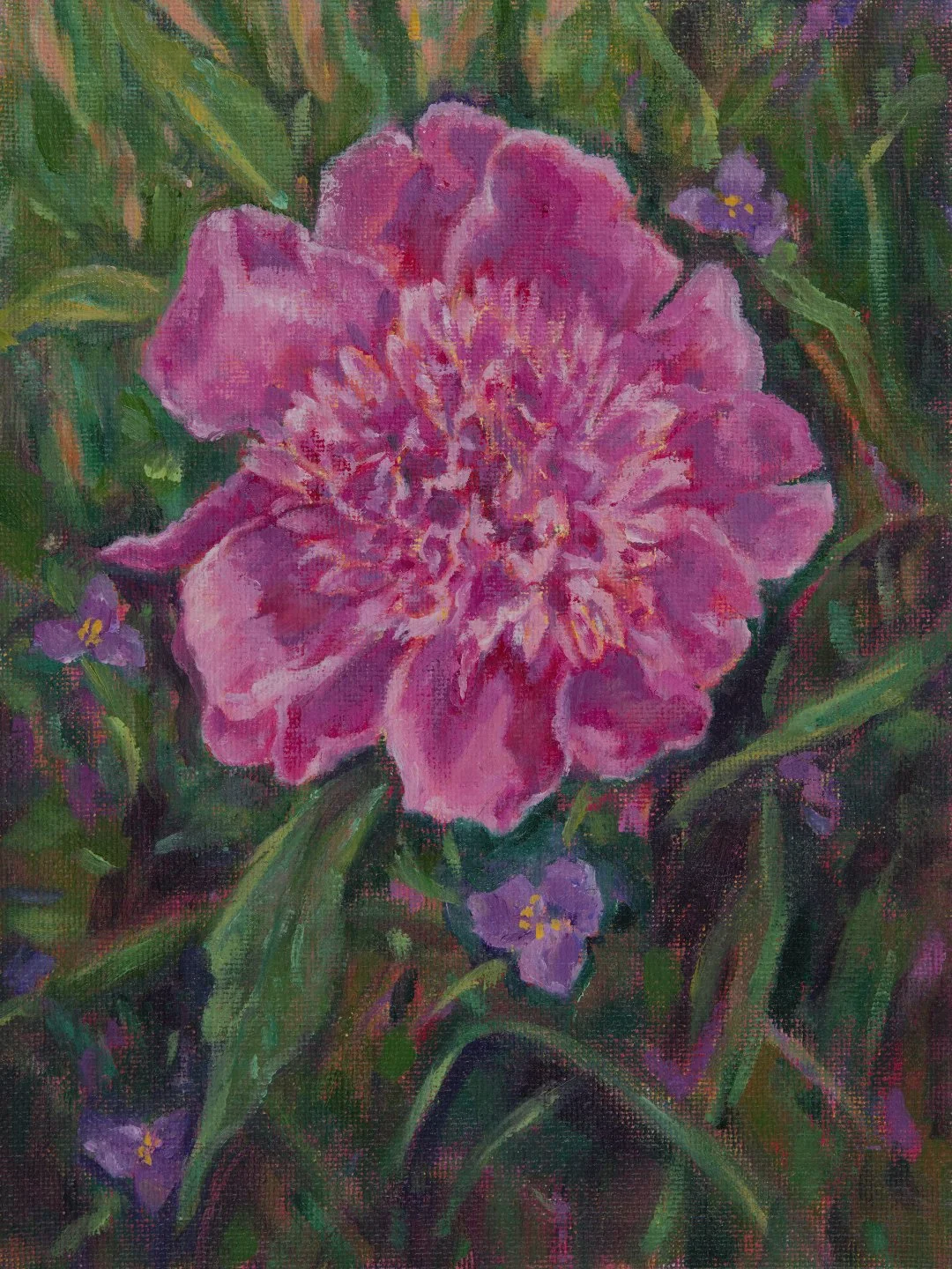 Pink Peony