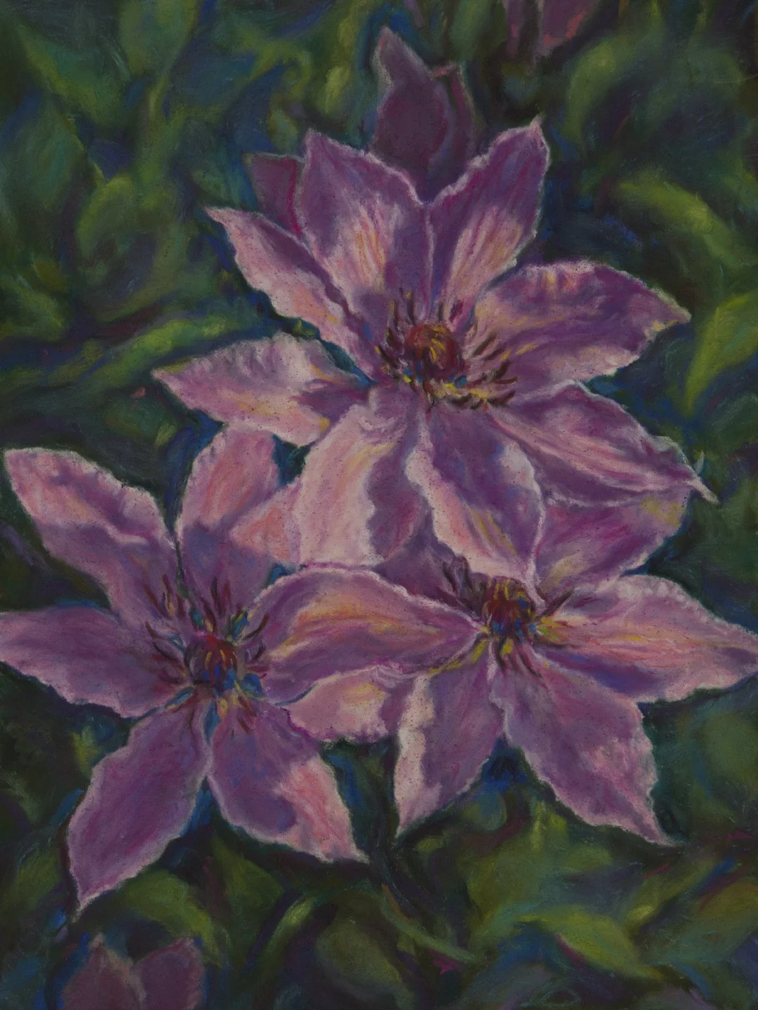 clematis.jpg