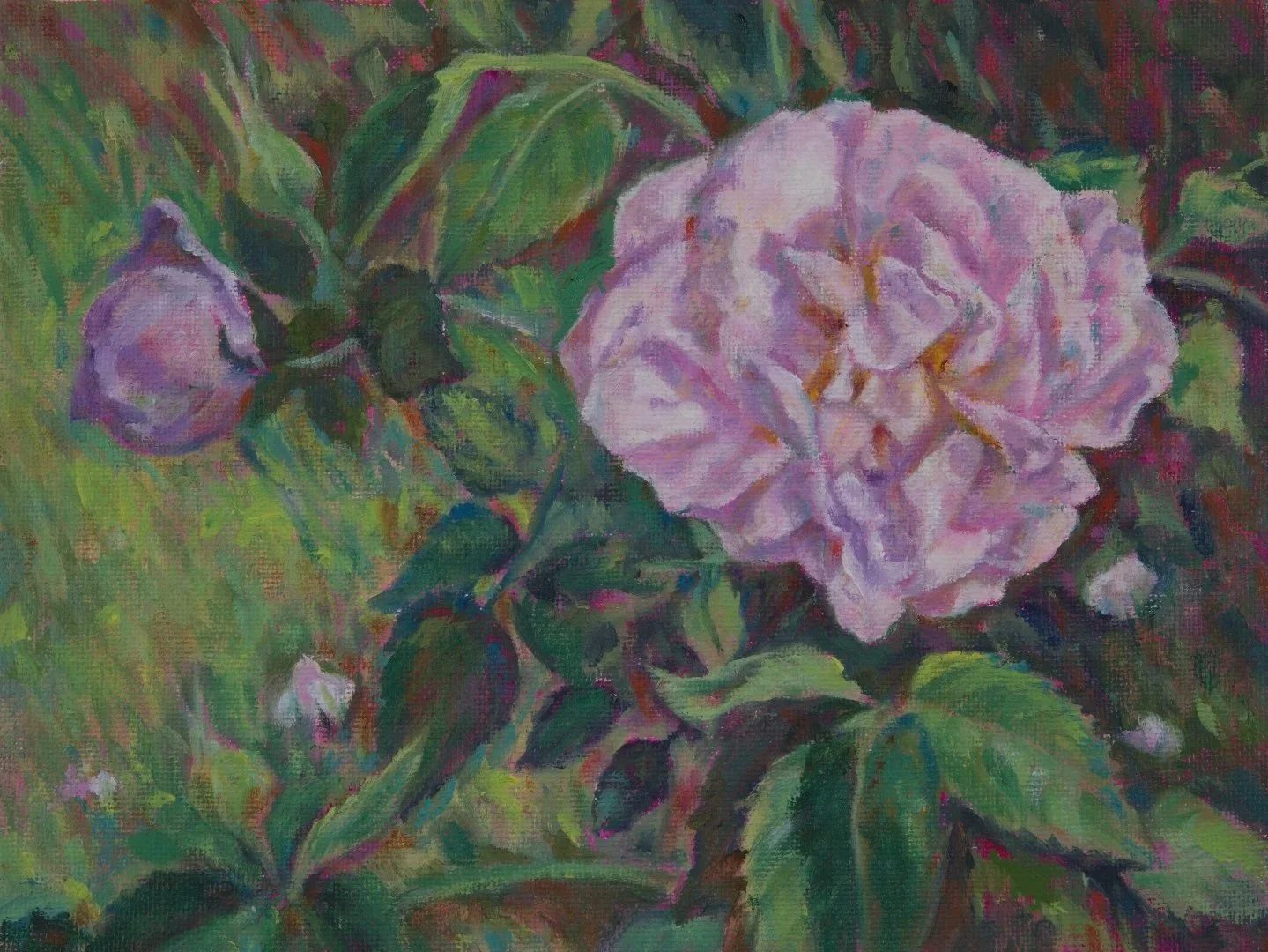 June rose