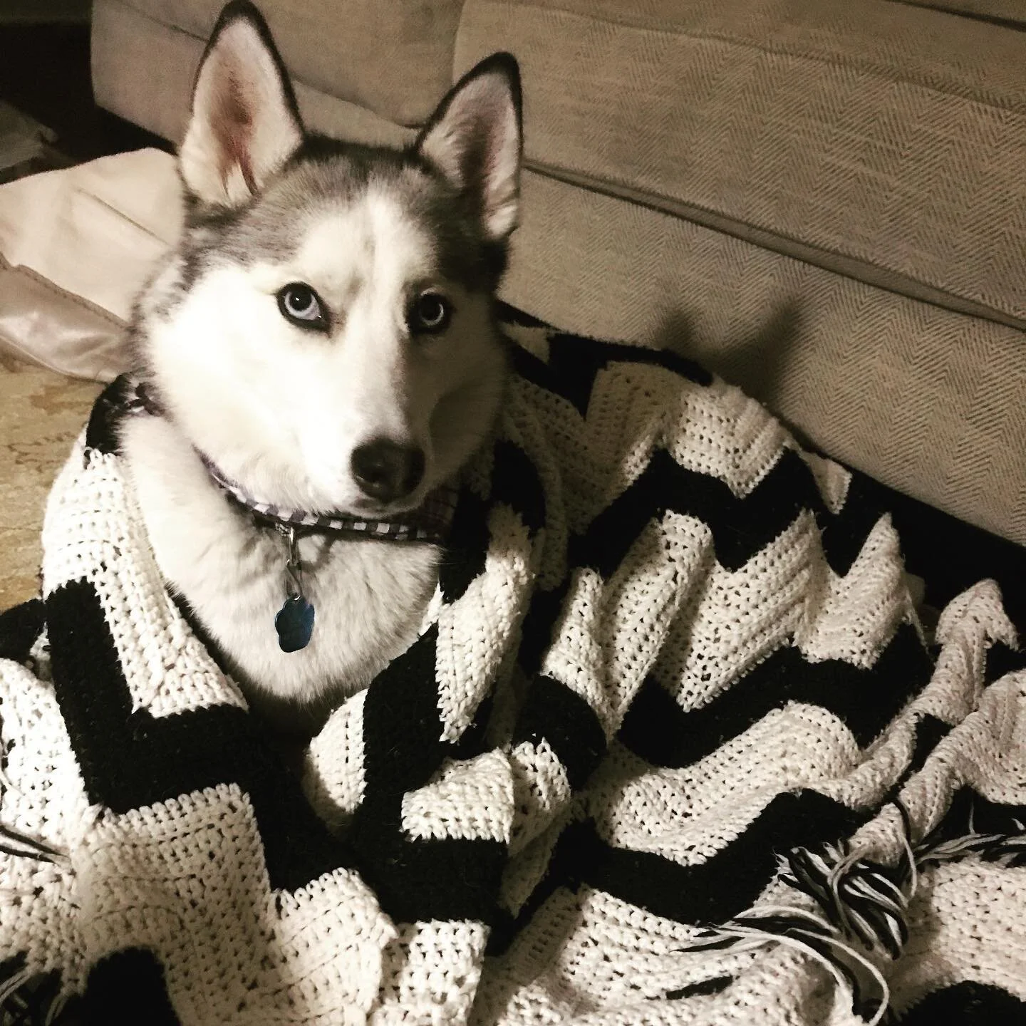 Lil’ Nico all tucked in for bed 🌌💜