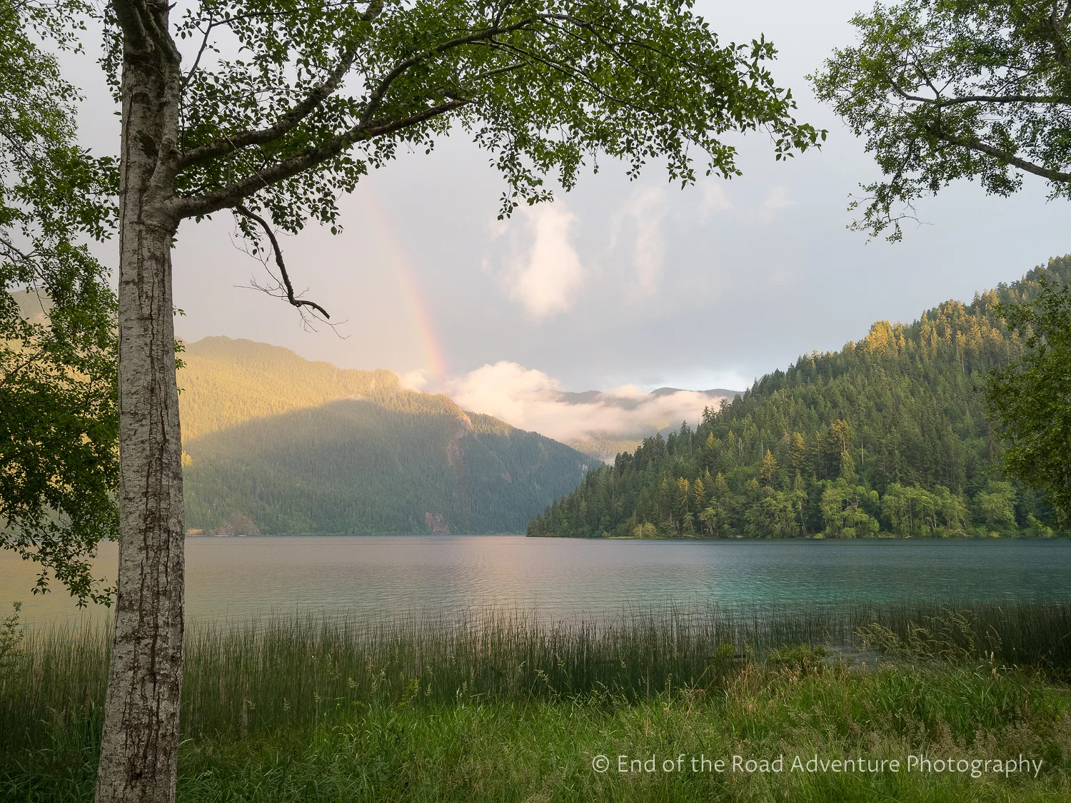 Lake Crescent in Olympic National Park, 2016.