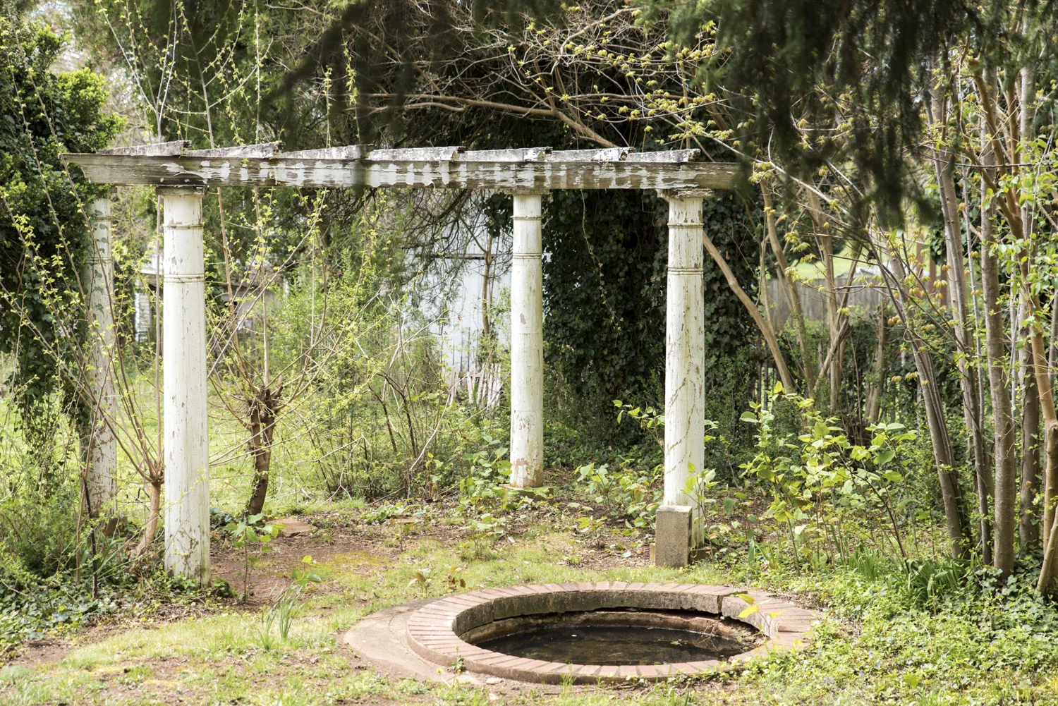 Rivermont1371ax.jpg
