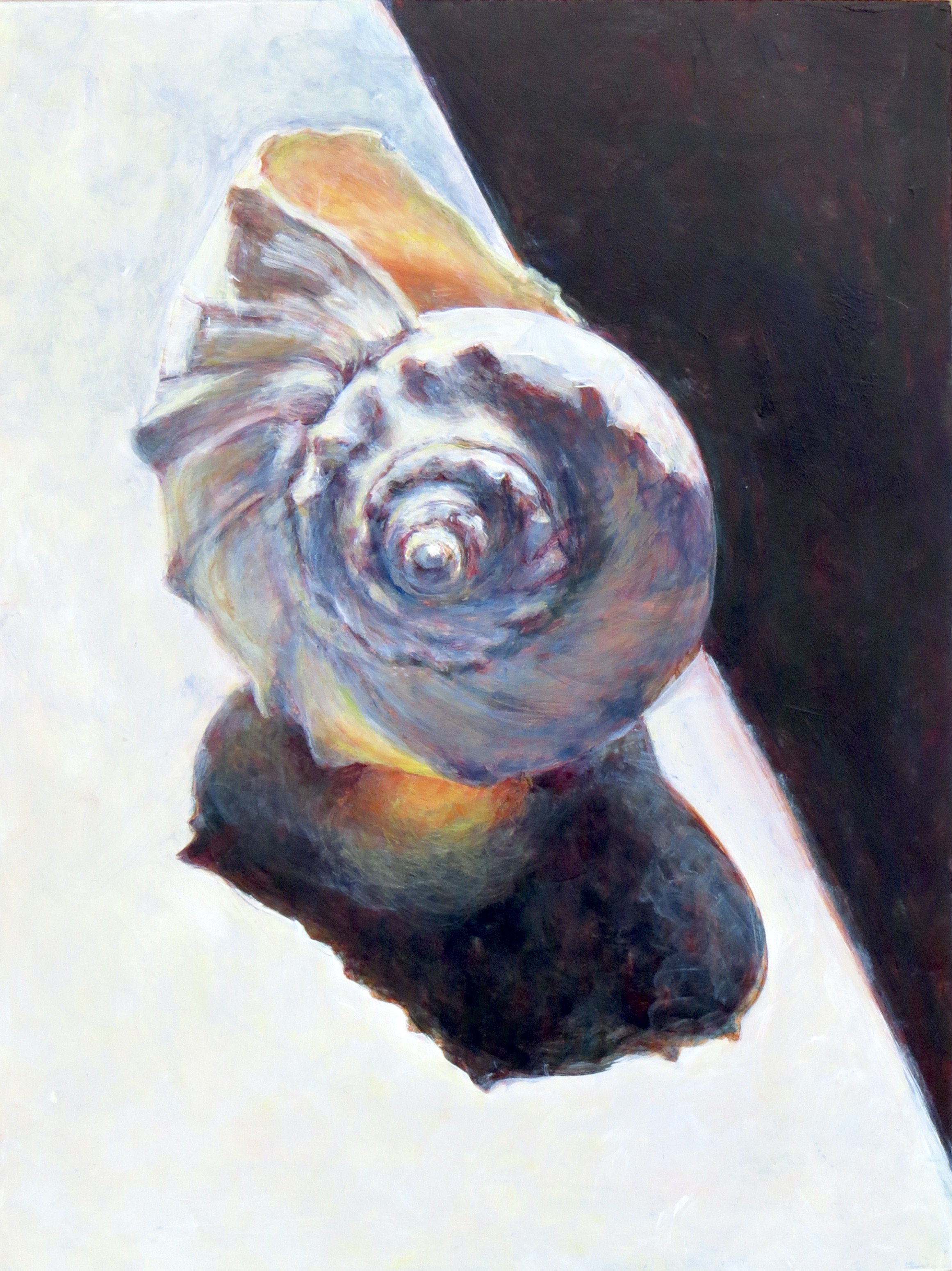 Seashell 1, 8"x6"