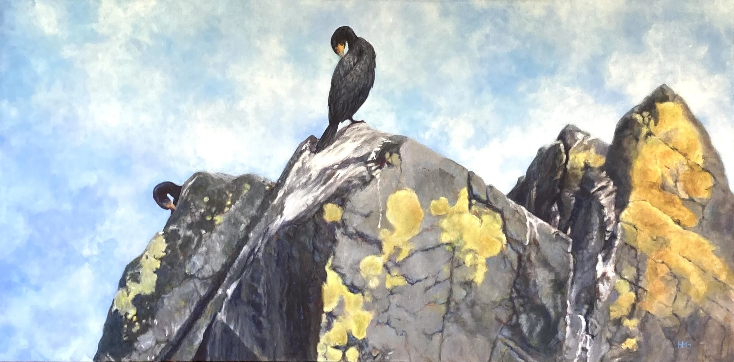 Cormorants Preening, 20"x40"