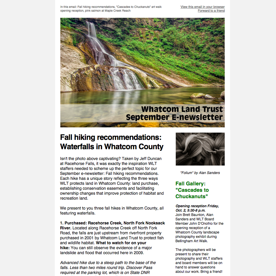 wlt-newsletter1.png