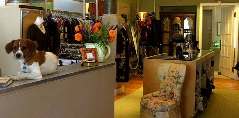 PETUNIA'S CONSIGNMENT - DONNA HANDEL