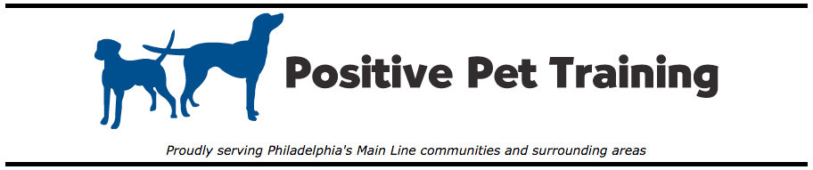 POSITIVE PET TRAINING