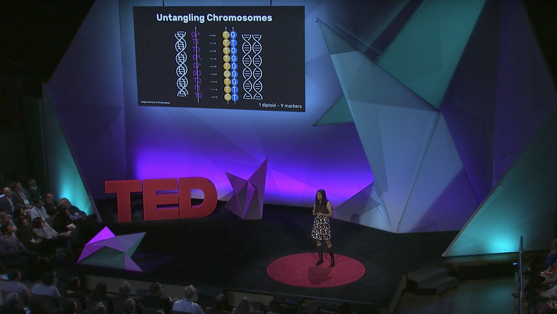 Photo via TED@IBM