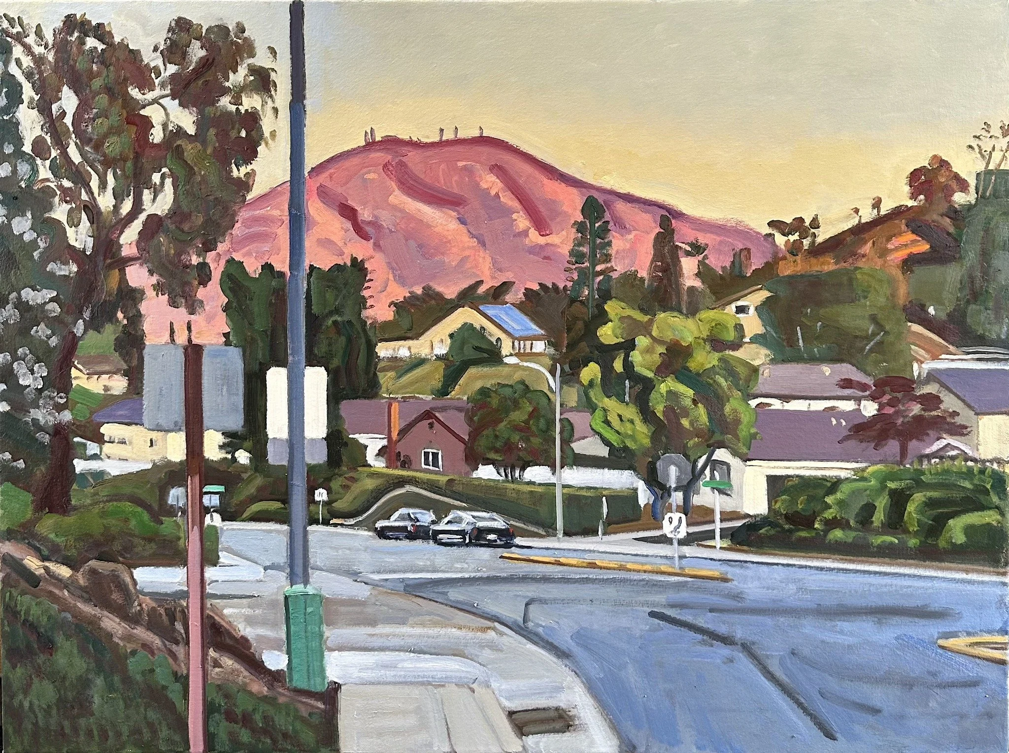 Mount Miguel in Pink 30 by 40”. 2025