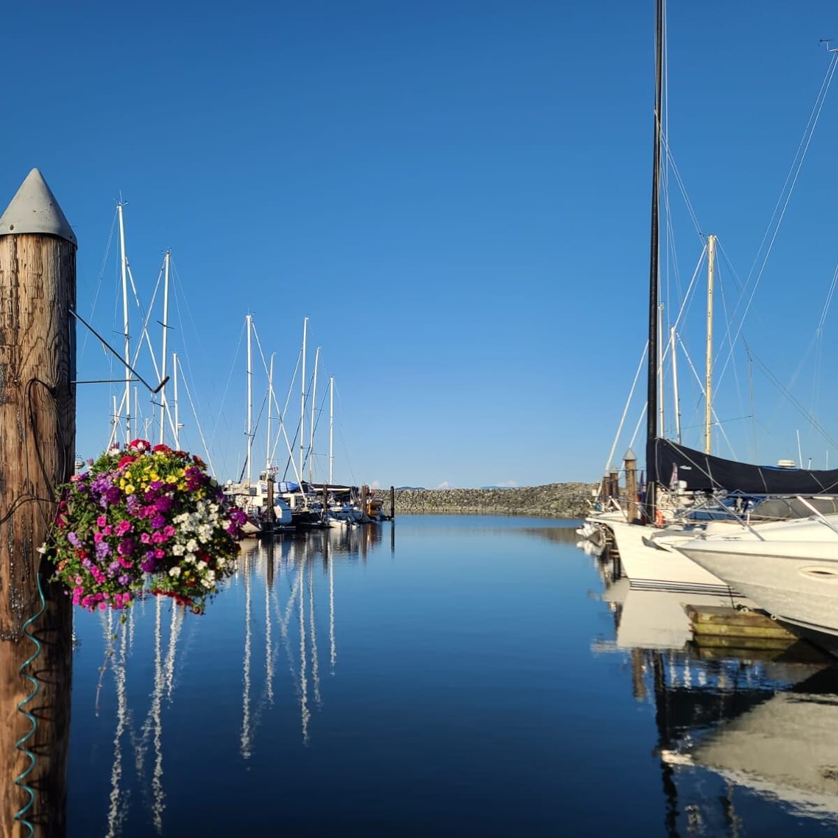 Happy long weekend friends!

📍 Port Sidney Marina
#exploresidneybc #longweekend #fridayvibes #sidneybc #beautifulbc #boatlife #marina #reflections