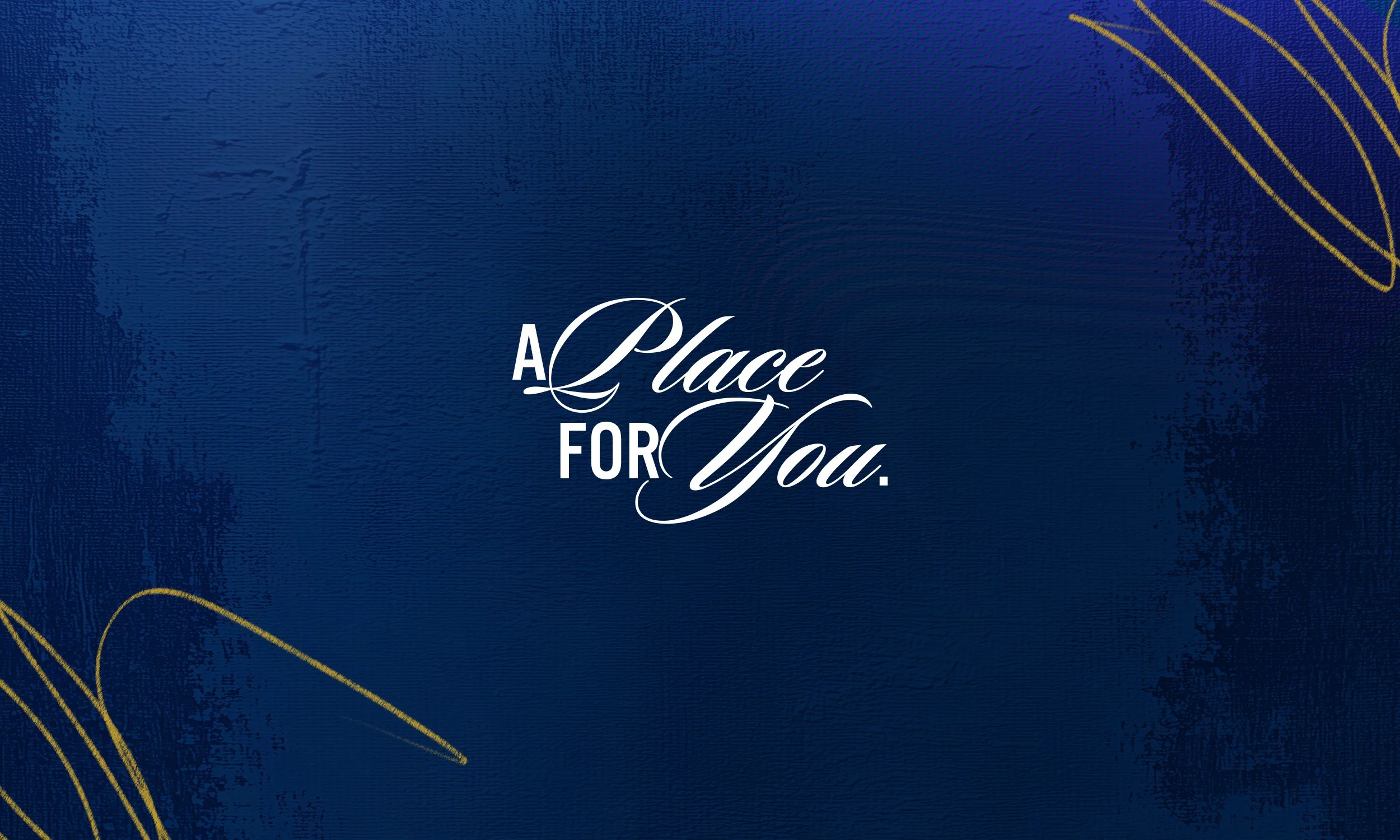 CityLight Website Banner.jpg