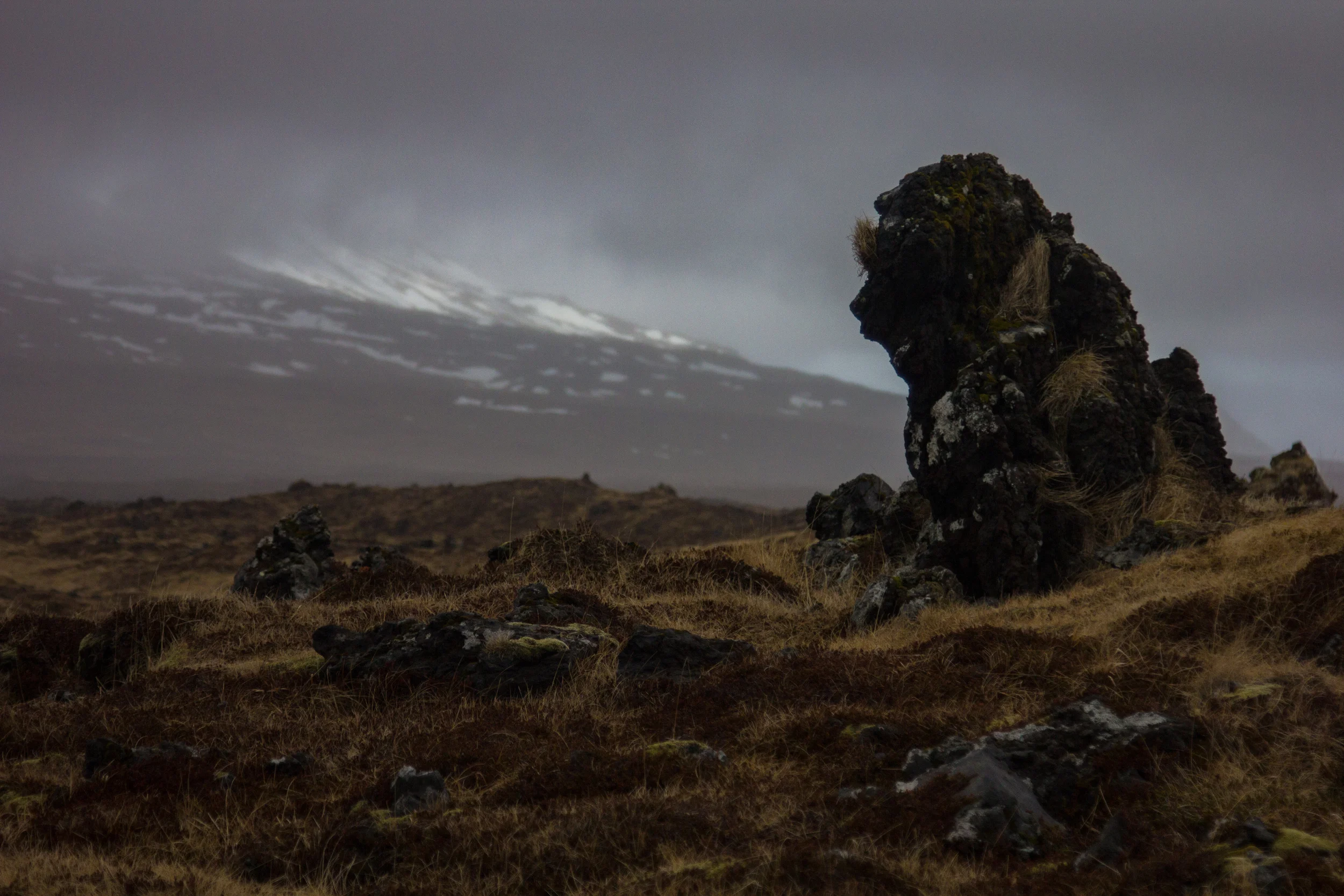 This one is a lonely troll.