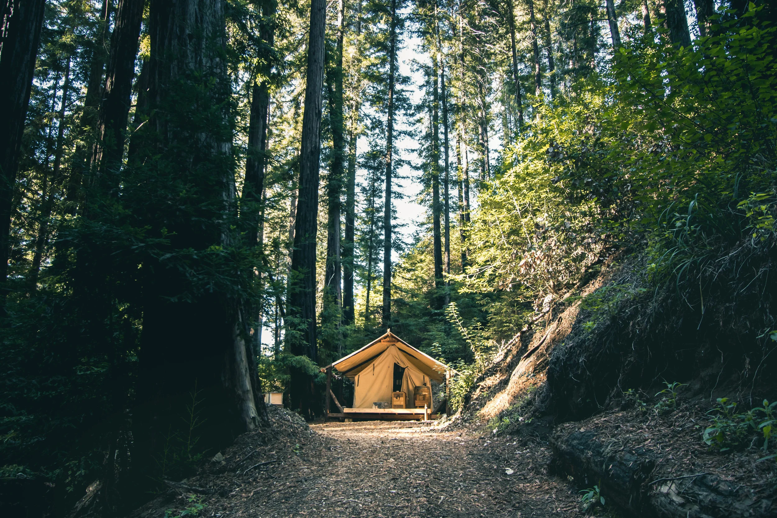 cabaña en el bosque