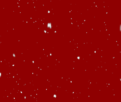 Christmas-script-480.gif