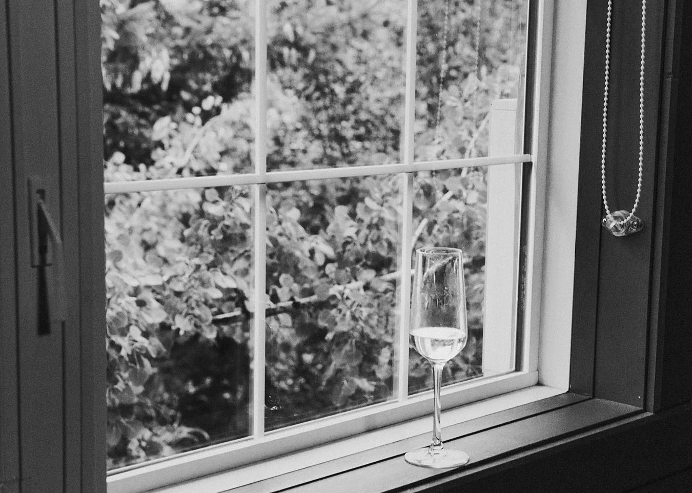 180915_SUGGIES_gabriellagutstudio_1hr-1-63 copy.jpg
