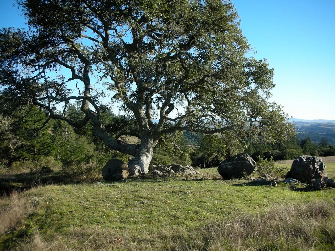 image-9.jpg