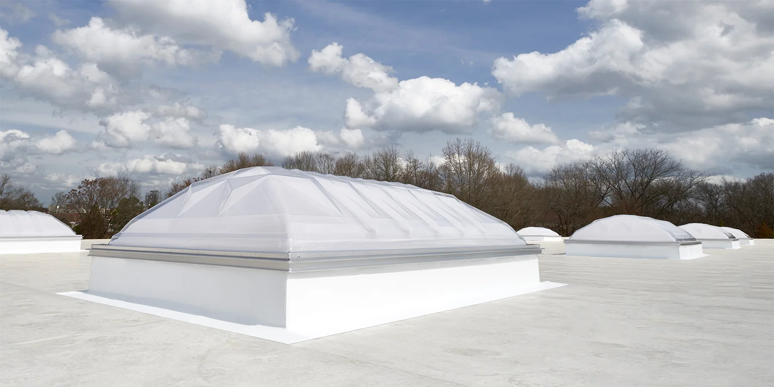 Dynamic-Dome Background Photo.jpg