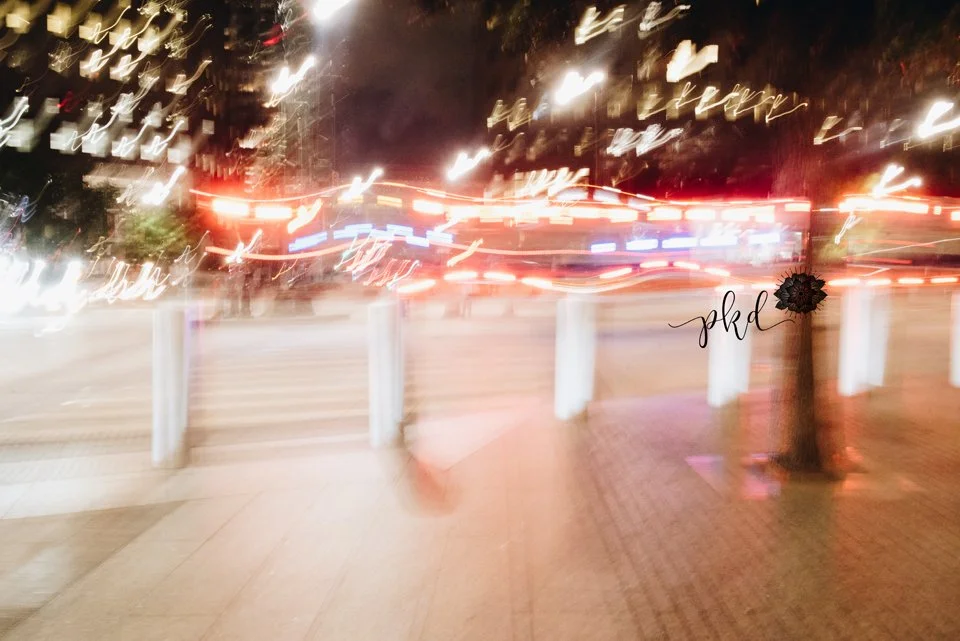 PKD_9510web.jpg