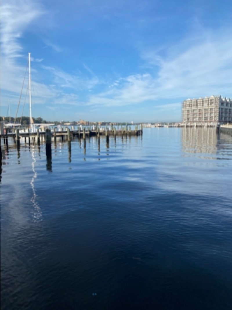 IMG_0098.jpeg