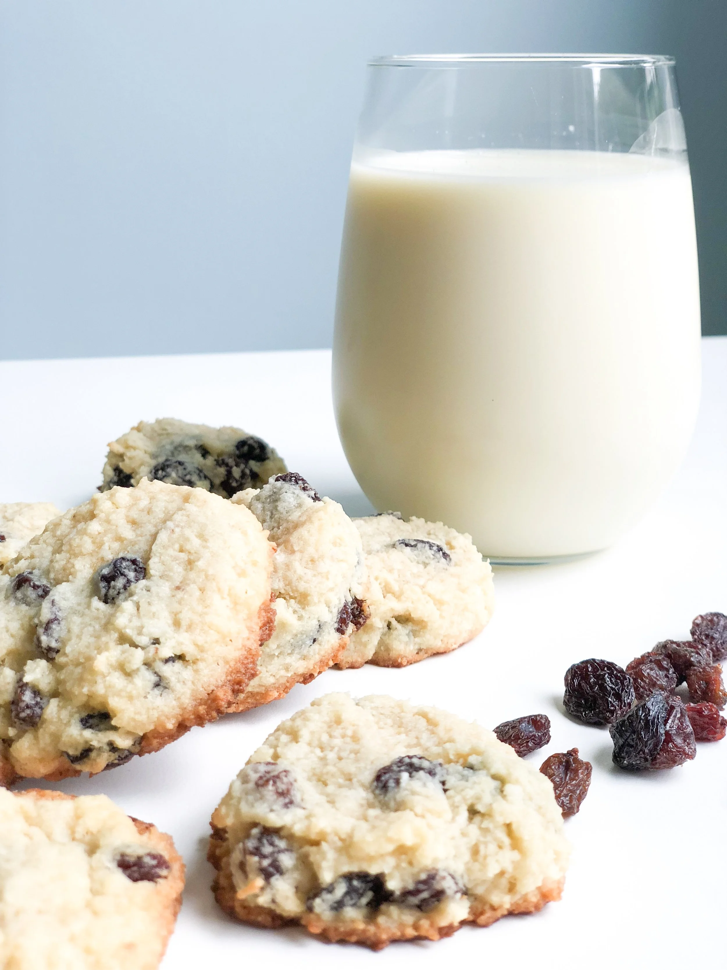 grain free oatmeal raisin cookies.JPG