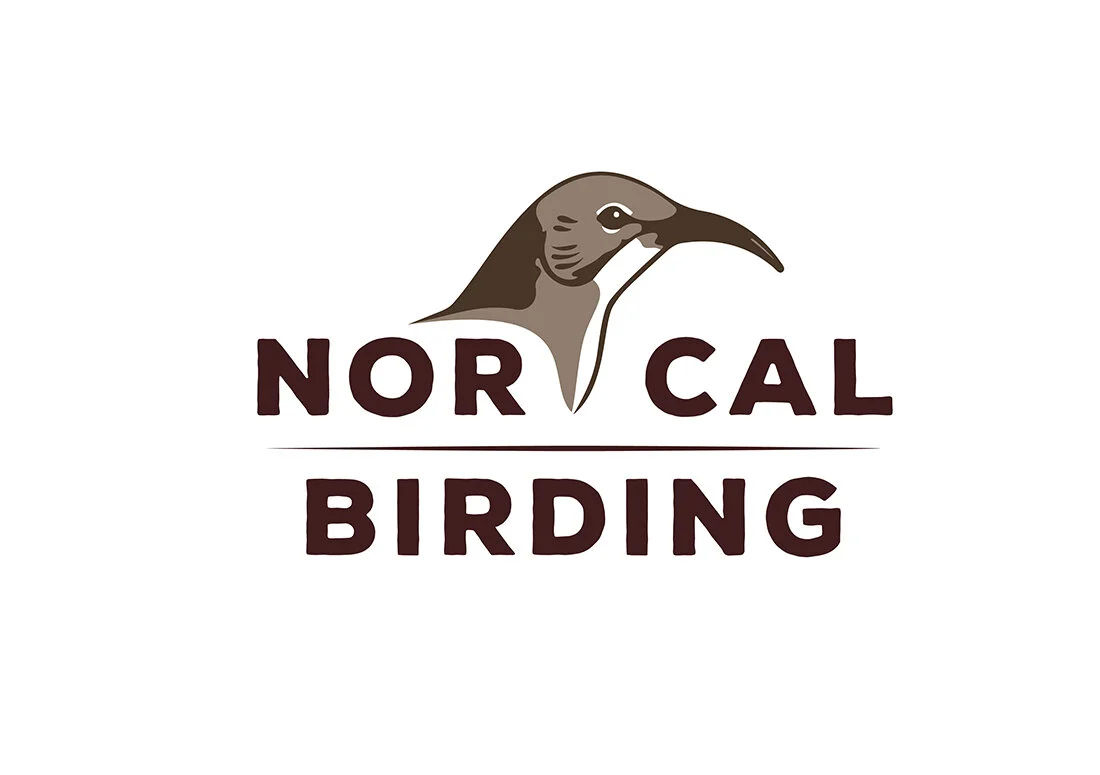 norcalbirding.jpg