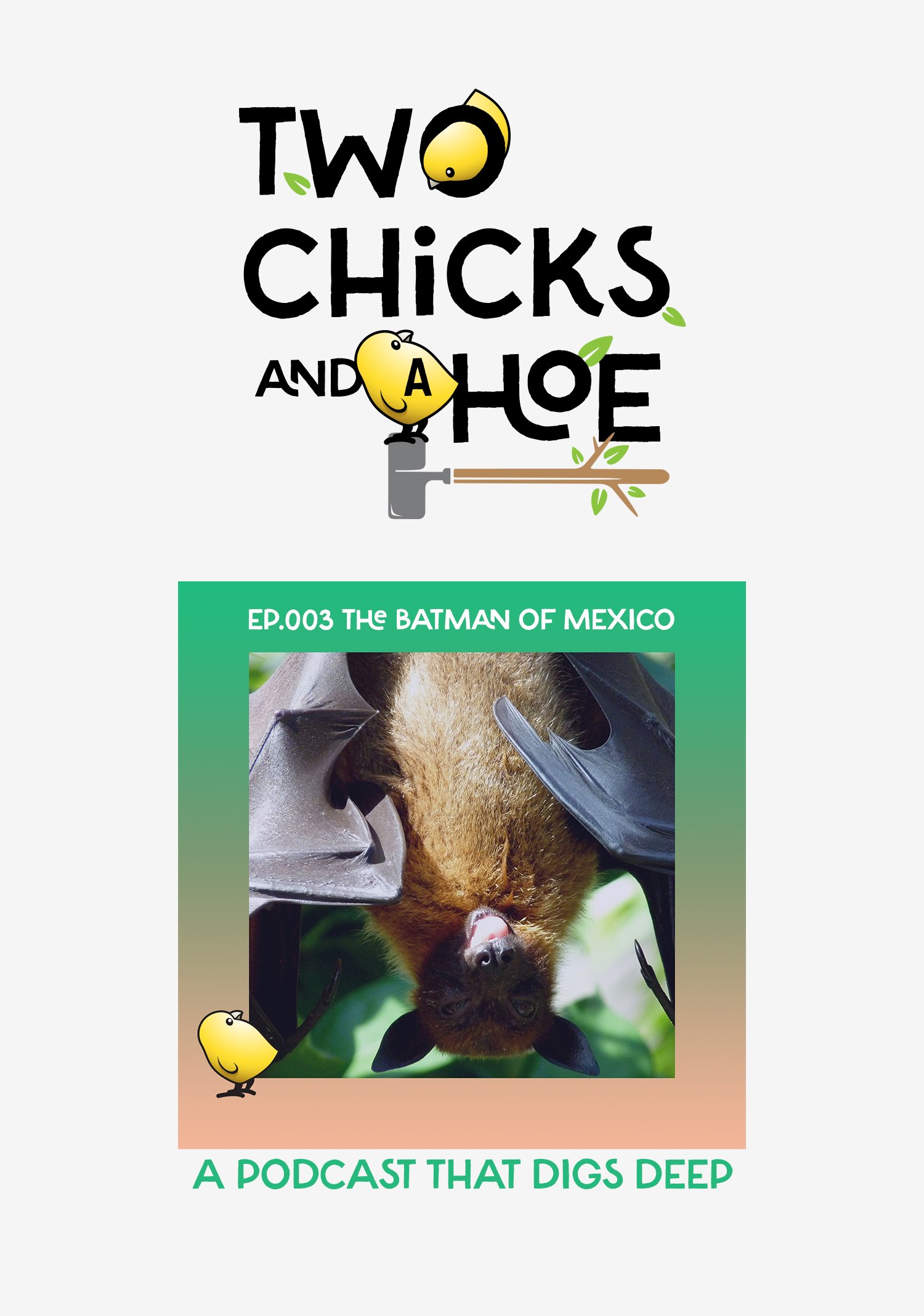 2chicks.logo.jpg
