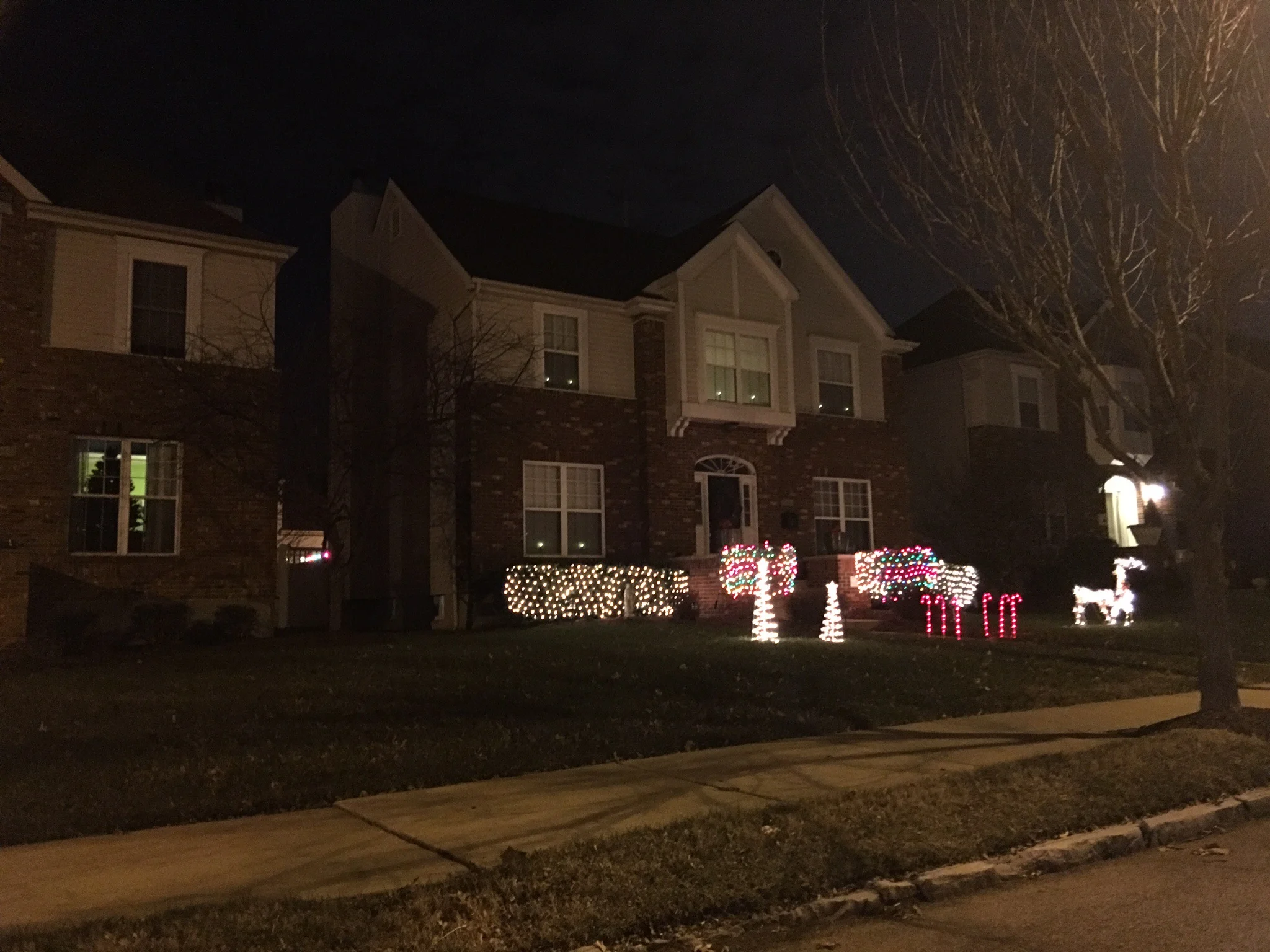 Christmas lights still on 1/16
