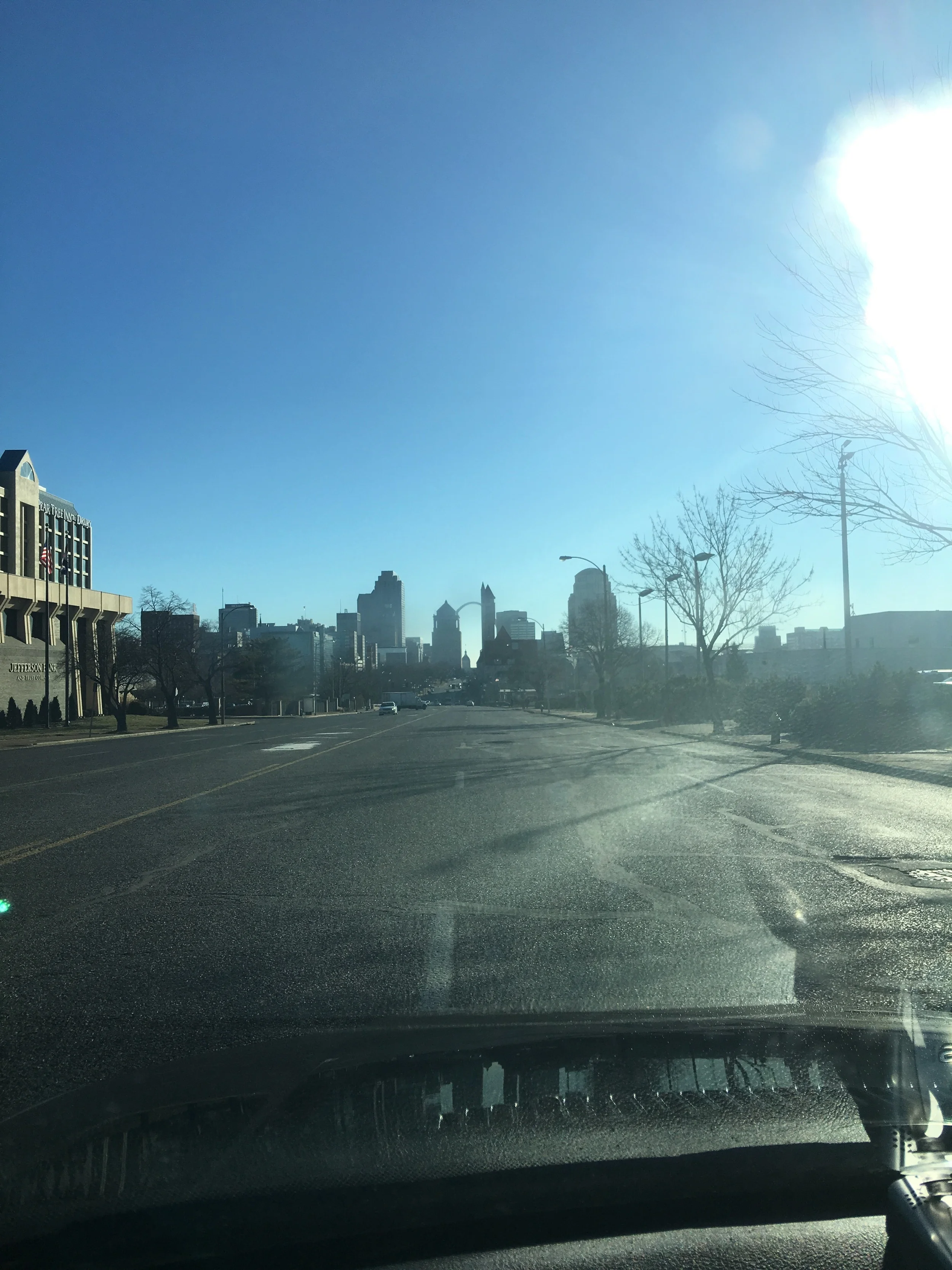 The skyline of Saint Louis the city from day 28.  