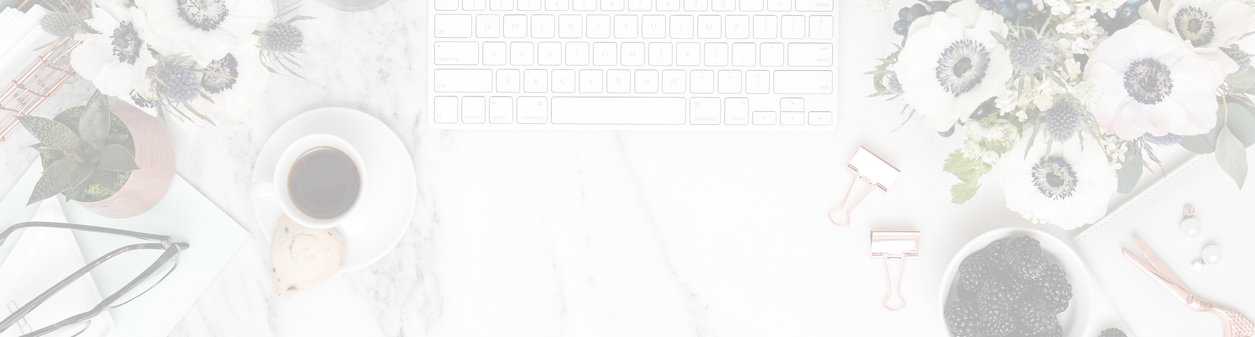 CTA banner_light.jpg