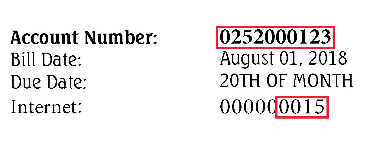 'Service Account' is your Account Number. 'Secret' is 252 (Evertek) or 253 (N.E.T. Broadband) plus the 4 digit Internet number, as shown in the red box. In the example above, it would be 2520015 if you’re an Evertek customer or 2530015 if you’re an N.E.T. Broadband customer. If you do not see a number in the ‘Internet’ area or you have trouble setting up your account, please call our office.