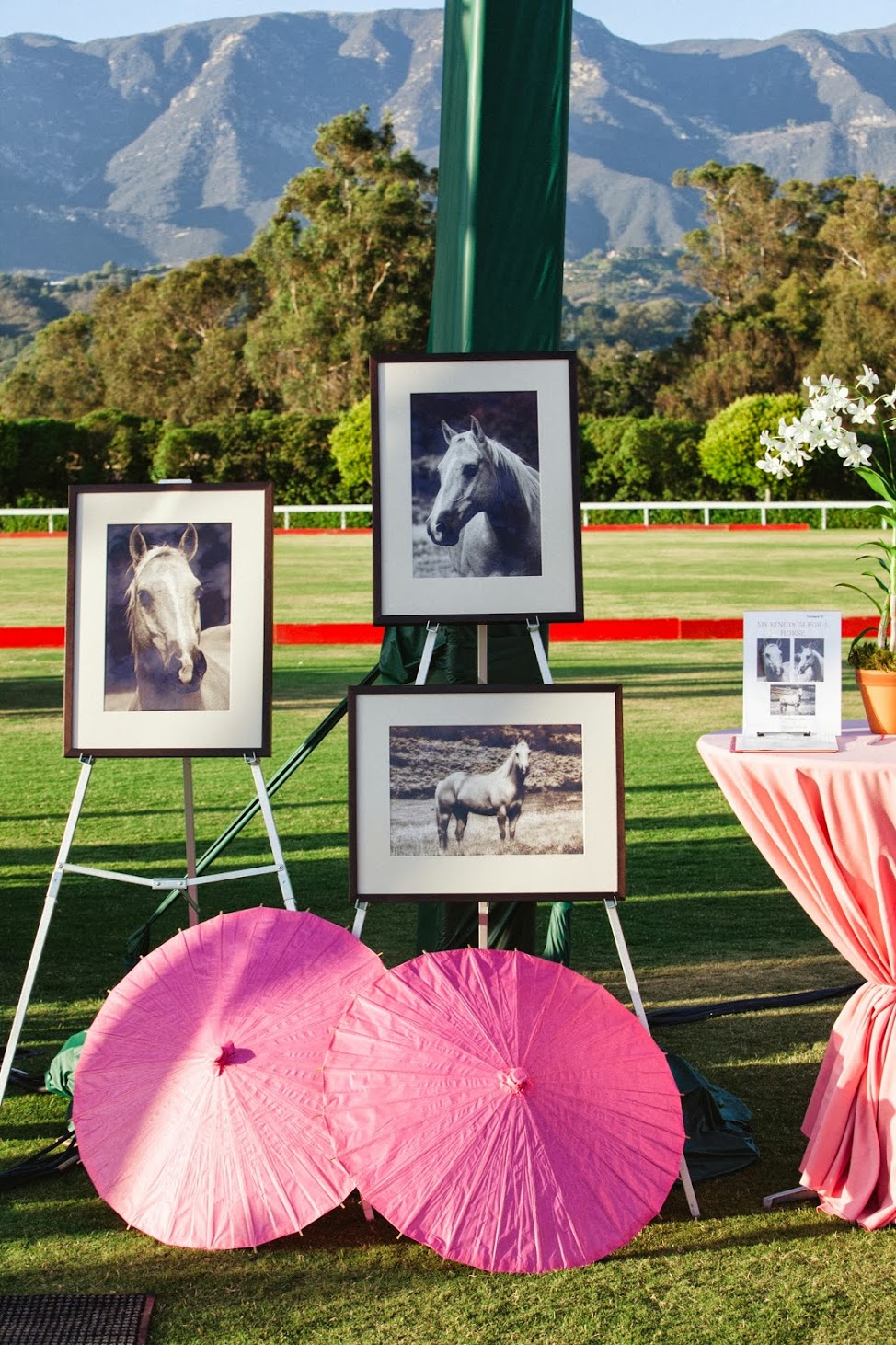 www.FeliciEvents | Pink Polo Party | Funraising Event | Felici Fundraiser | Polo Theme | Clarissa Koenig Photography | Silent Auction