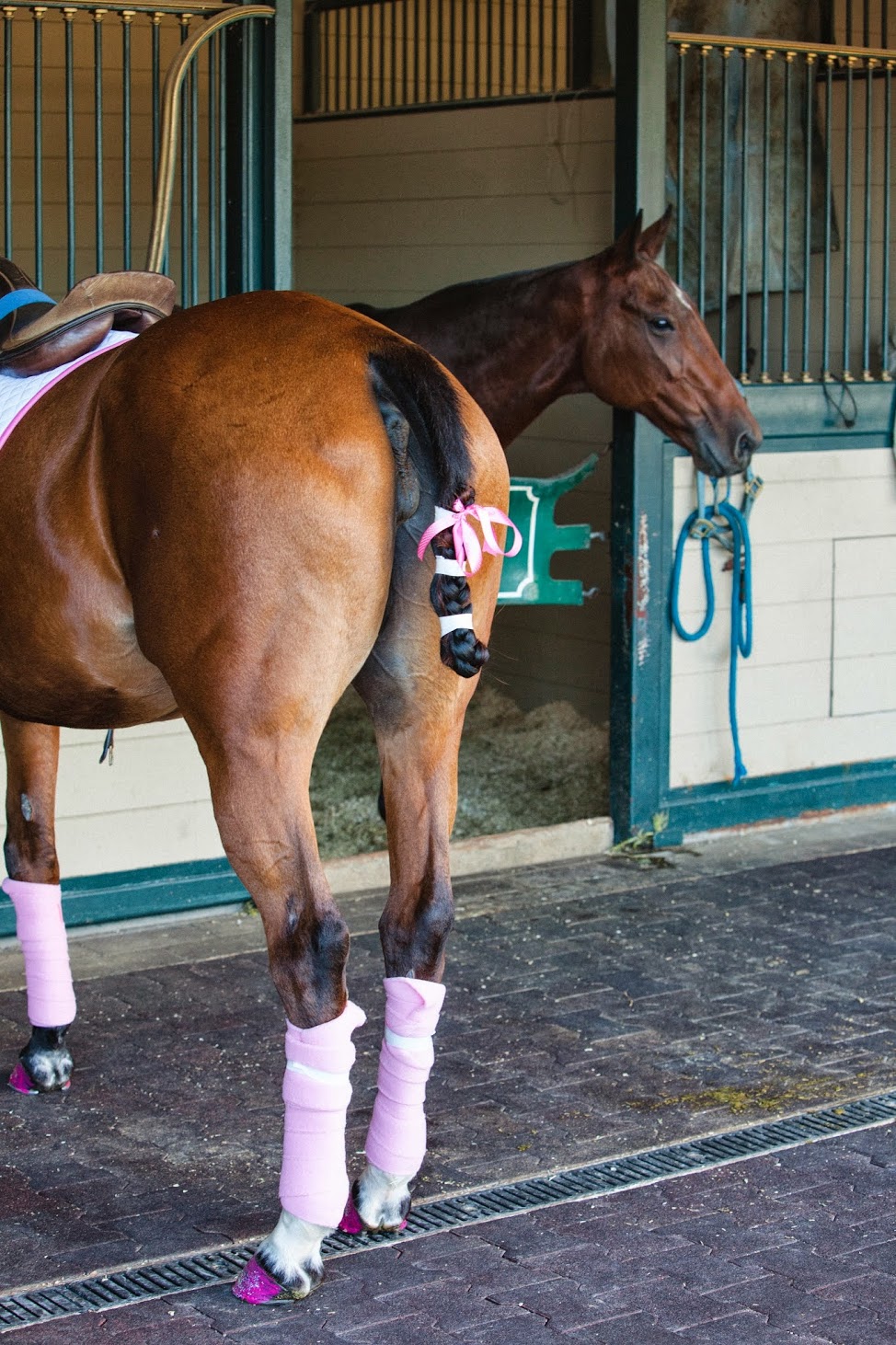 www.FeliciEvents | Pink Polo Party | Funraising Event | Felici Fundraiser | Polo Theme | Clarissa Koenig Photography | Pink Details on Horse