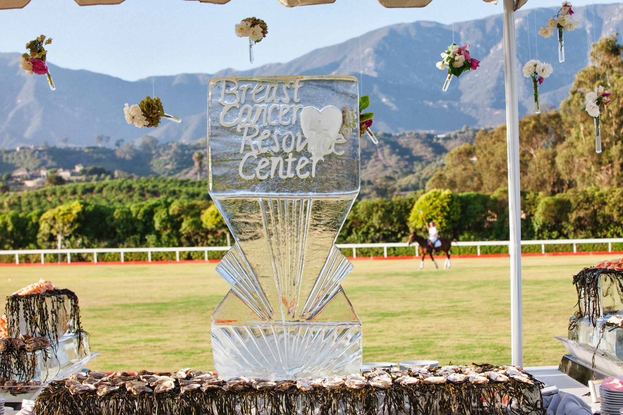 www.FeliciEvents | Pink Polo Party | Funraising Event | Felici Fundraiser | Polo Theme | Clarissa Koenig Photography | Ice Sculpture