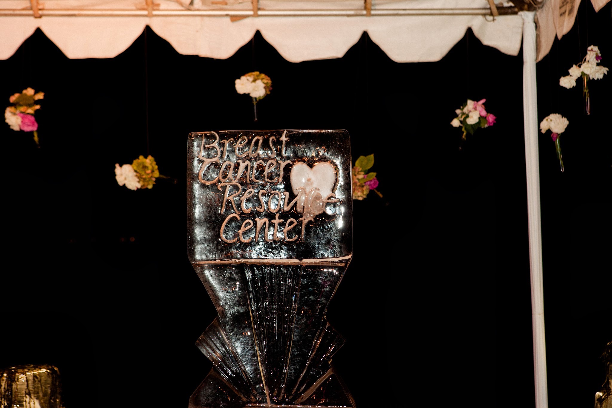 www.FeliciEvents | Pink Polo Party | Funraising Event | Felici Fundraiser | Polo Theme | Clarissa Koenig Photography | Ice Sculpture