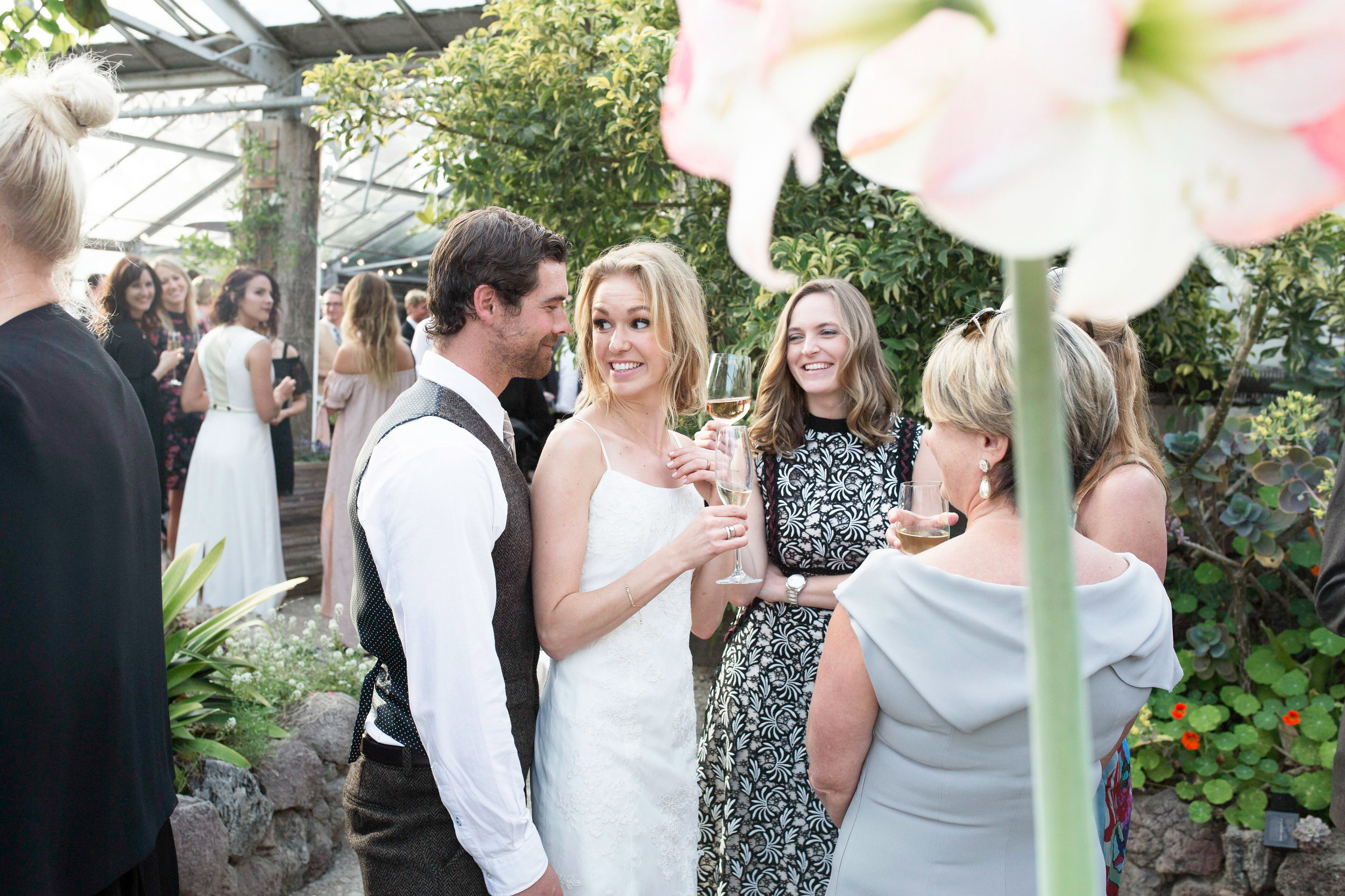 Felici Events | Gaviota Coast | Wedding Ceremony | Oceanfront | Santa Barbara | Clarissa Koenig Photographer | #FeliciWedding | Orchid Farm | Wedding