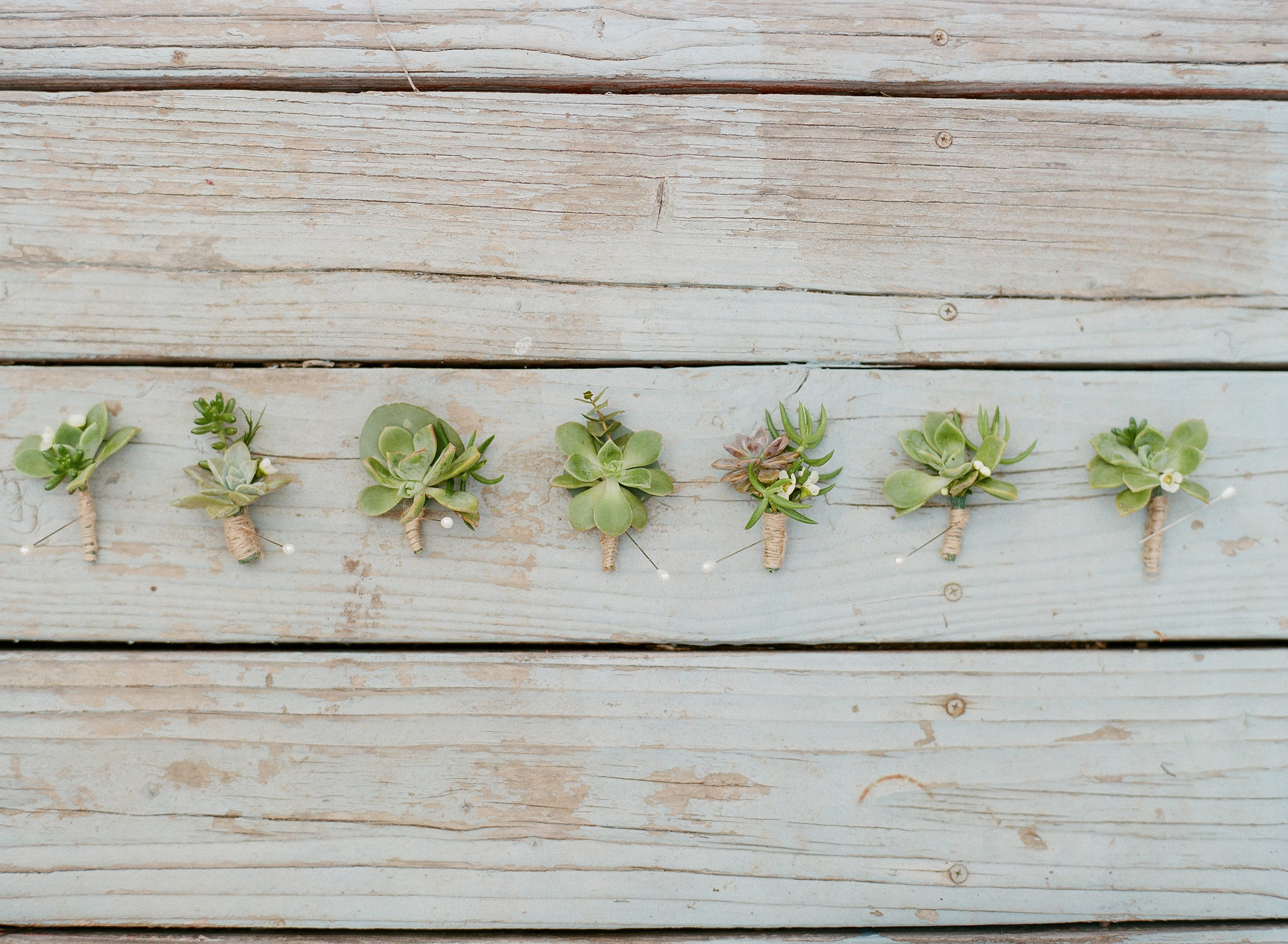 Felici Events | Gaviota Coast | Wedding Ceremony | Oceanfront | Santa Barbara | Clarissa Koenig Photographer | #FeliciWedding | Orchid Farm | Wedding Boutonnieres