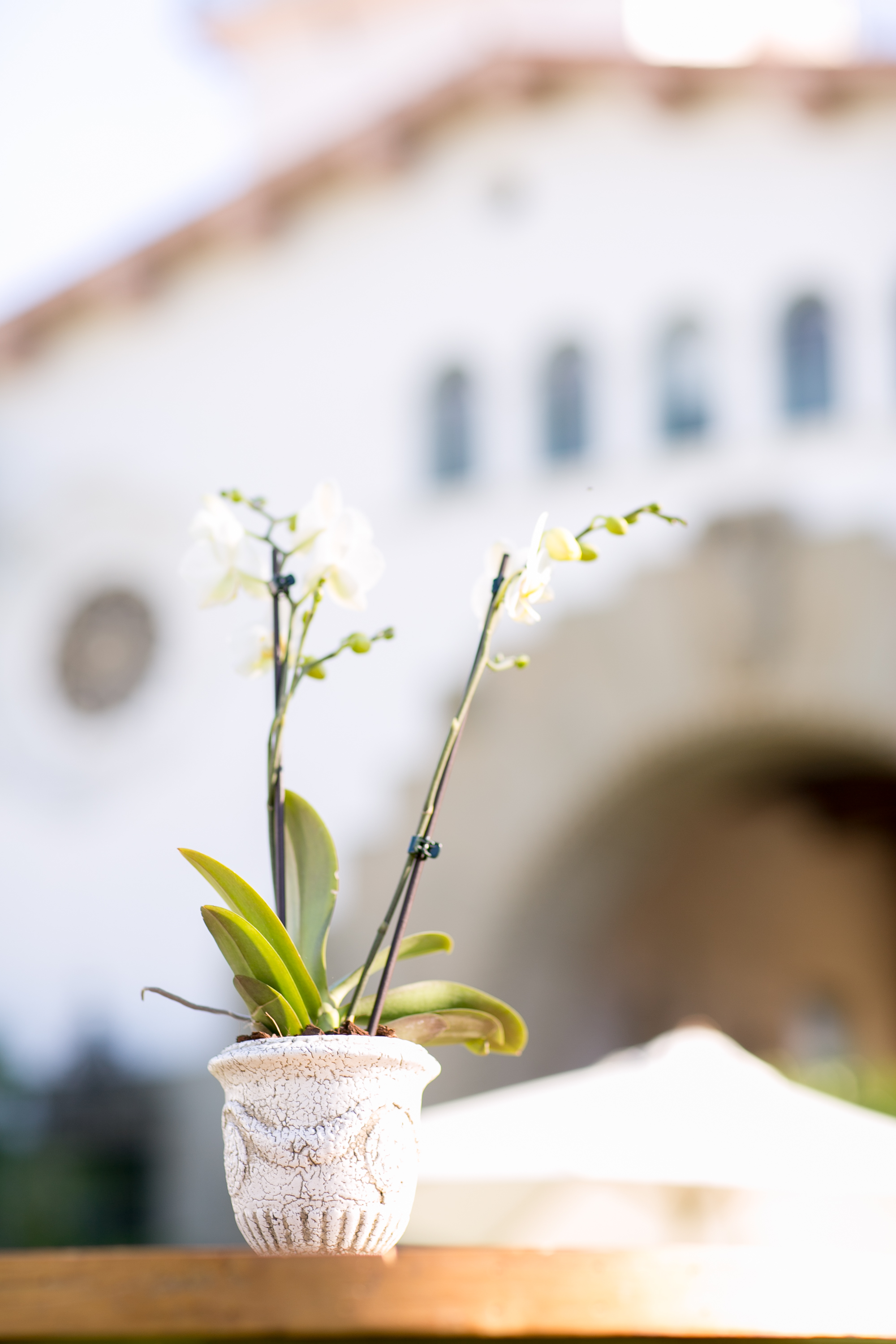 Felici Events | Community Memorial | Santa Barbara Event Planner | Party Planner | Kelsey Crews Photo | The Santa Barbara Courthouse | The Sunken Gardens | Michael Towbes