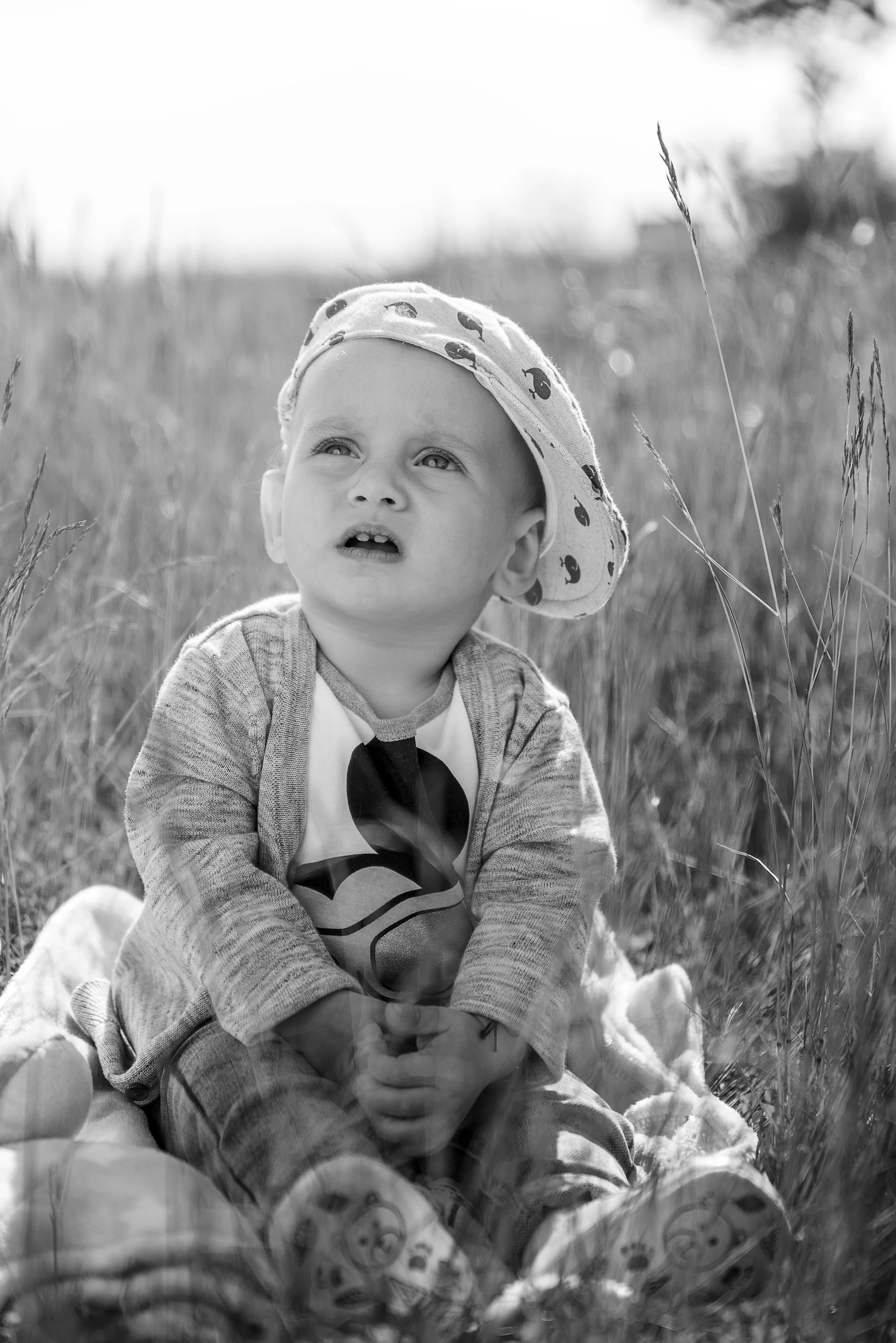 _BDN5458 as Smart Object-1 bw.jpg