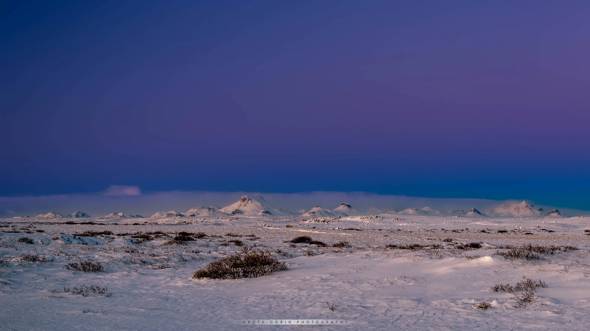 Ice Paradise